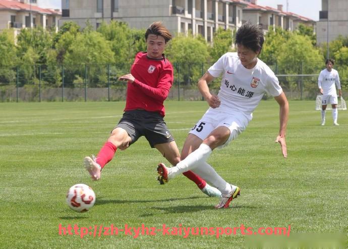 ky开云-法甲外援市场趋势分析及未来发展预测